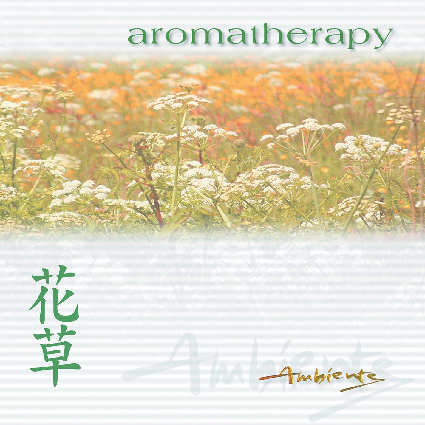 Aromatherapy [Audio CD] Oliver, Dan and Dan Oliver