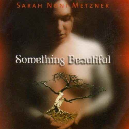 Something Beautiful by Sarah Metzner (2005-04-05) [Audio CD] Sarah Metzner