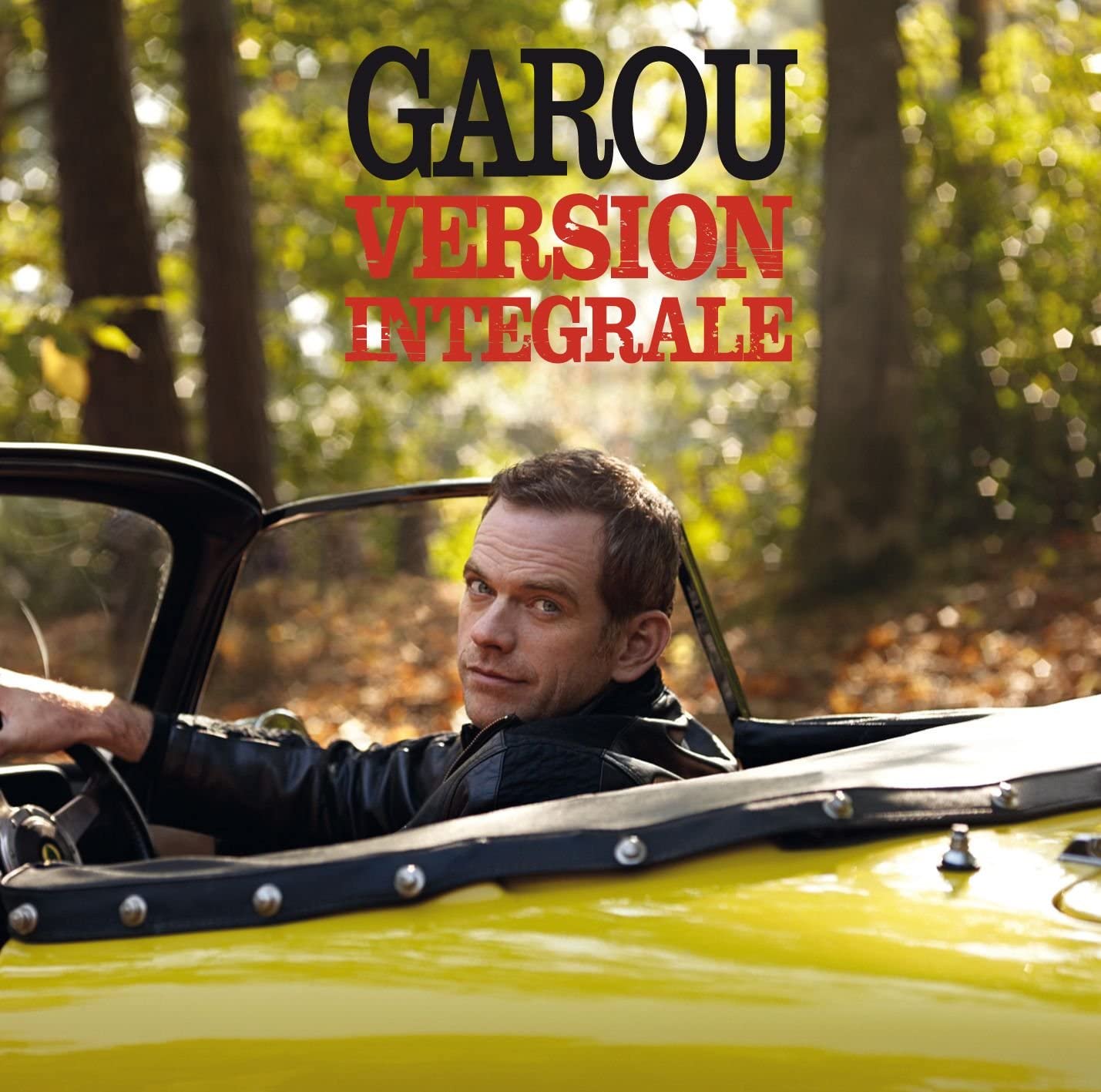 Version Integrale [Audio CD] Garou