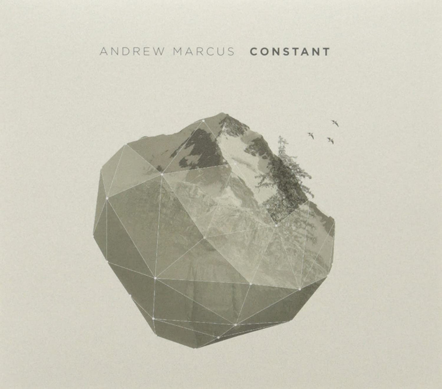 Constant [Audio CD] Andrew Marcus