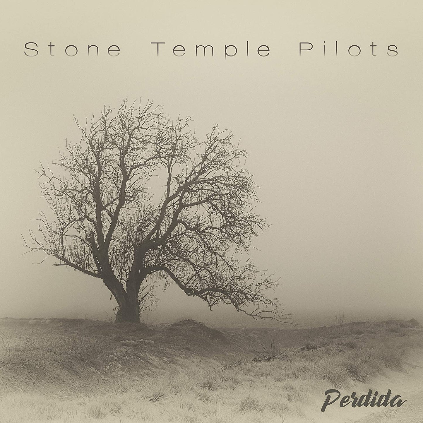 Perdida [Audio CD] Stone Temple Pilots